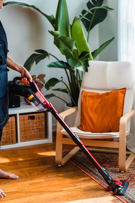 Top 5 Best Uv Vacuum Cleaner 2024 Pixelfy Blog