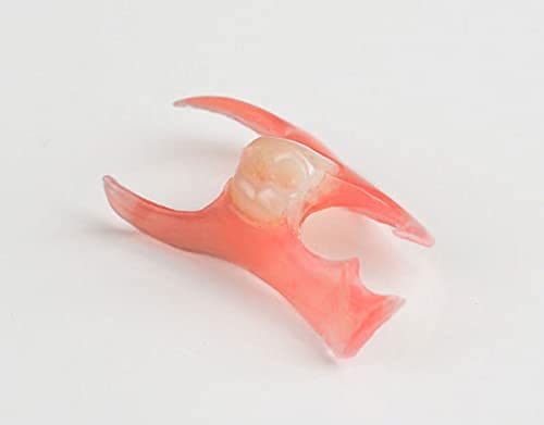 Nesbit Flexible Partial Denture (Light-Medium Upper Arch, 1 Tooth - Medium)