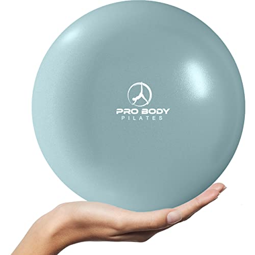 ProBody Pilates Ball Small Yoga Ball, 9 Inch Exercise Ball with Exercise Guide, Fresh Colors Mini Soft Therapy Ball Stability Ball, Excercise Workout Ball, Core Ball for Barre and Balance