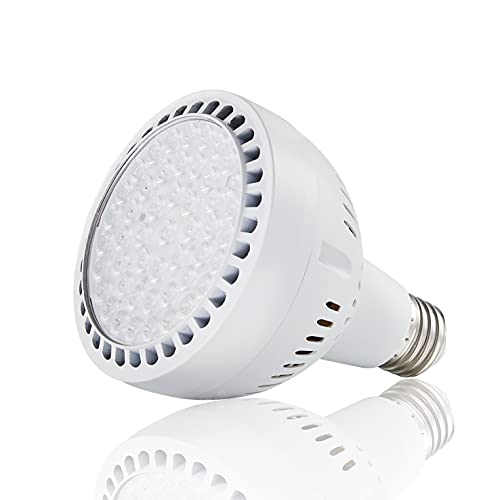 LED Pool Light Bulb 120V 50W 5000LM 6000K Daylight White LED Swimming Pool Light Bulb, Replaces up to 200-800W Traditionnal Bulb for Most Pentair Hayward Light Fixtures