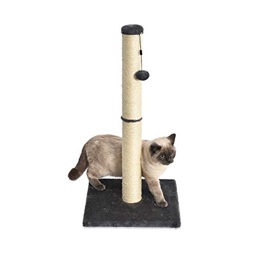 Amazon Basics Cat Scratching Post, Medium, 15.75