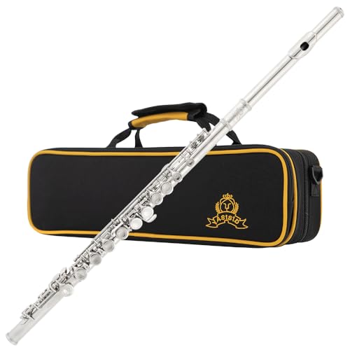 Yasisid Closed Hole C Flute 16 Keys Instrument for Student Beginners with Cleaning Kit, Stand, Carrying Case, Gloves and Tuning Rod
