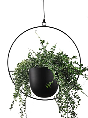 ABETREE Hanging Planter for Indoor Plants Metal Mid Century Minimalist Wall and Ceiling Hanging Plant Pot Holder for Home Décor, Black