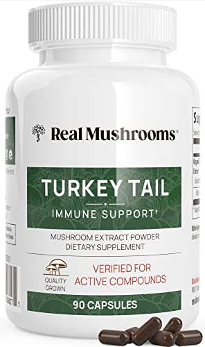 Real Mushrooms Turkey Tail Capsules - Organic Mushroom Supplement with Potent Turkey Tail Mushroom Extract for Gut, Energy, Brain, & Immune Support - Vegan Mushroom Extract, Non-GMO, 90 Caps