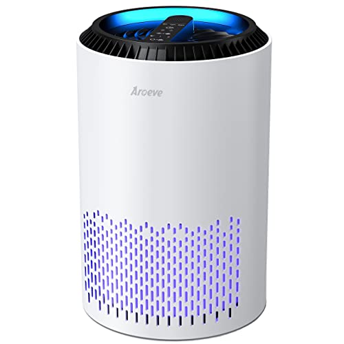 Top 5 Best Small Air Purifiers 2024 Pixelfy blog