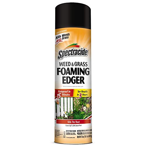 Spectracide Weed & Grass Foaming Edger (17 oz), 1 Count