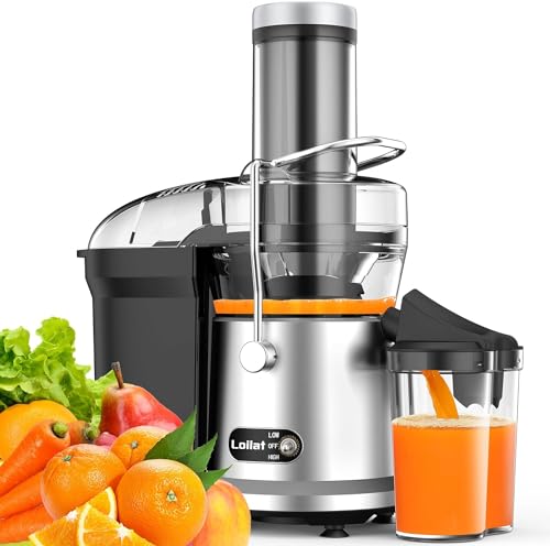 Juicer Machine, 1200W Juicer with 3