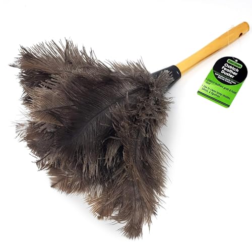EVERCLEAN Ostrich Feather Duster Classic 14
