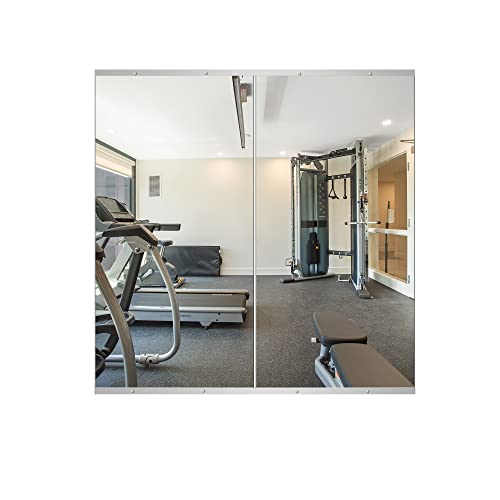 Delma Home Gym Mirror, 48