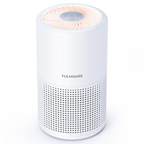 Top 5 Best Small Air Purifiers 2024 Pixelfy blog