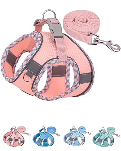 Petank Dog Harness for Small Medium Dogs No Pull, Puppy Harness and Leash Set, Easy Walk Dog Harness for Walking, Running, Training, Small Dog Harness, Medium Dog Harness (Pink, XS)