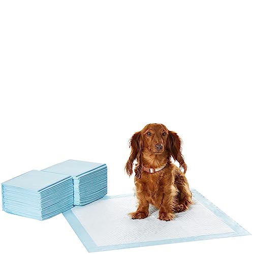 Amazon Basics Dog and Puppy Pee Pads with 5-Layer Leak-Proof Design and Quick-Dry Surface for Potty Training, Standard Absorbency, Regular Size, 22 x 22 Inch - Pack of 50, Blue & White