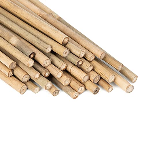Plant Stakes Natural Garden Bamboo Sticks for Indoor and Outdoor Plants,GAGINANG 20pcs Plant Support Stakes for Tomatoes, Beans, Potted Plants - 18 inches