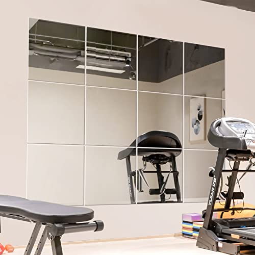 Murrey Home Gym Mirrors 12