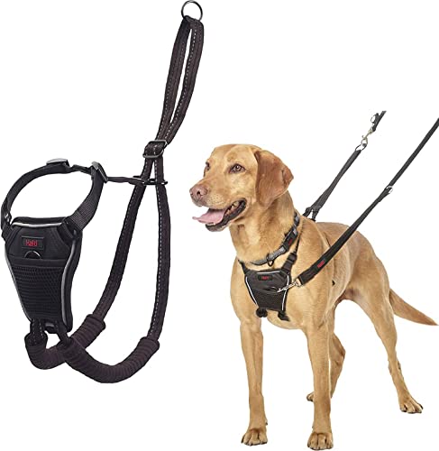 HALTI No Pull Harness Size Medium, Professional Dog Harness to Stop Pulling on The Lead, Easy to Use, Anti-Pull Training Aid, Adjustable, Reflective and Breathable, for Medium Dogs Black