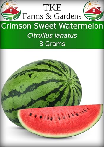 TKE Farms & Gardens - Crimson Sweet Watermelon Seeds for Planting, 3 Grams, 60 Heirloom Non-GMO Seeds, Packet Includes Instructions for Growing, Citrullus lanatus, Qty 1