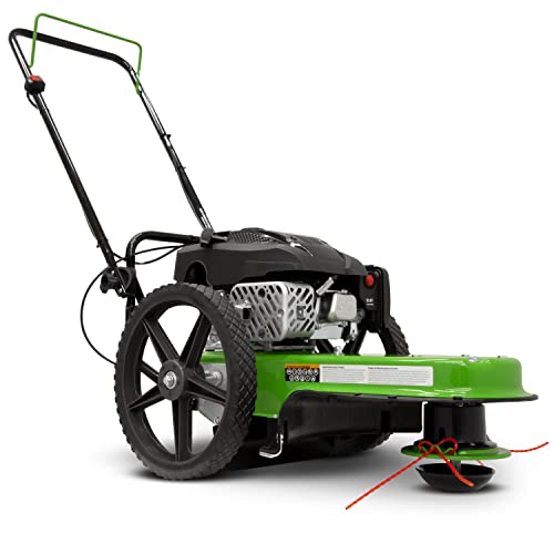 TAZZ 40095 Walk-Behind String Mower/Trimmer, 160cc 4-Cycle Gas Engine, Large 14