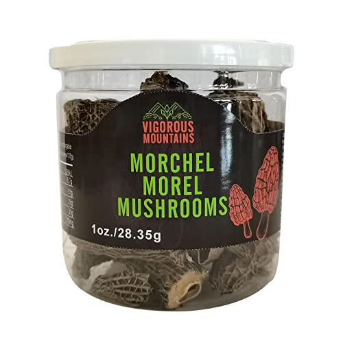 VIGOROUS MOUNTAINS Dried Morel Mushrooms (1)