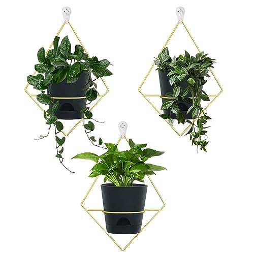 Koalaime 3 Sets of Wall Planters for Indoor Plants, Hanging Wall Planter with Gold Metal Holder, Geometric Self Watering Wall Flower Pots, Wall Mounted Succulent Planter, 5