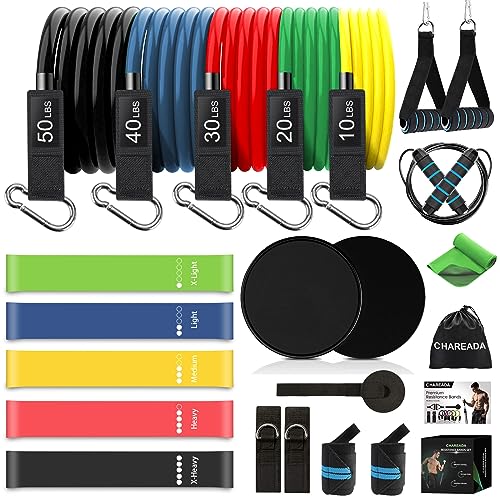 23 Pack Resistance Bands Set Workout Bands, 5 Stackable Exercise Bands 5 Loop Resistance Bands 2 Core Sliders, Door Anchor Handles Ankle Straps Carry Bag Instant Cooling Towel Wrist Wraps