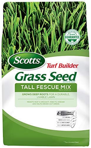 Scotts Turf Builder Grass Seed Tall Fescue Mix, Grows Deep Roots for a Durable, Livable Lawn, 3 lbs.