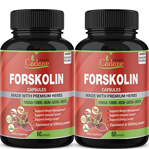 2 Packs Organic Forskolin Supplements Capsules 5000mg with Turmeric, Arjuna, Garcinia Cambogia, Green Tea - Maximum Strength Coleus Forskohlii Extract - Support Energy Production & Immune System