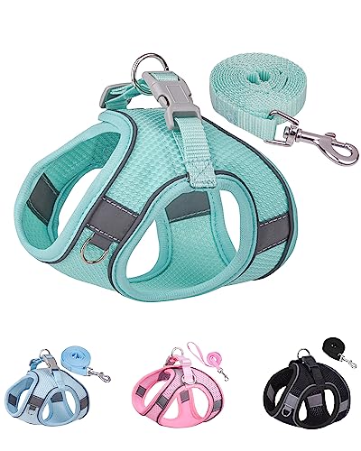 Solmoony Dog Harness for Small Medium Dogs No Pull, Puppy Harness and Leash Set, Puppy Harness for Small Dogs, Step in Harness for Small Dogs, Small Dog Harness, mesh Dog Harness. (Green, S)