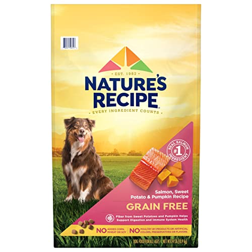 Nature′s Recipe Dry Dog Food, Grain Free Salmon, Sweet Potato & Pumpkin Recipe, 24 lb. Bag