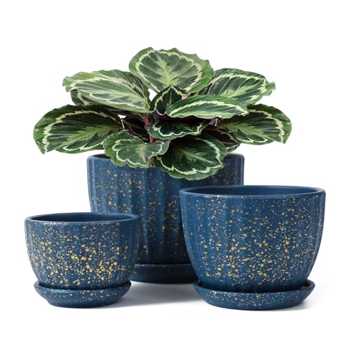 Ceramic Plant Pots with Drainage Holes and Saucers, Round Blue Flower Pots for Indoor Plant, 3.4/4.4/5.5 Inches Small Flower Planters Set of 3