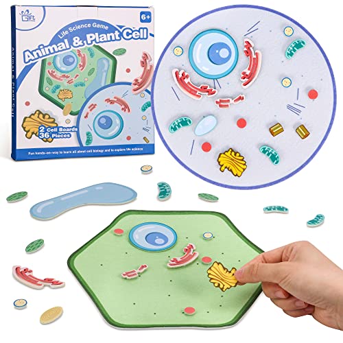 GiftAmaz Animal and Plant Cell Anatomy Model, Soft Felt Toy, Early Cell Biology and Life Science STEM Toys, Classroom Teaching Aid, Educational Learning Activities STEM Birthday Toys for Kids 6+