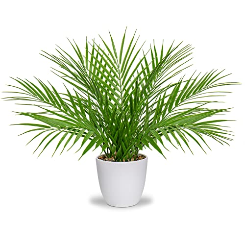 Briful Fake Plant 15’’ Artificial Palm Plant in White Pot Real Touch Faux Tropical Palm Tree Houseplant for Home Indoor Living Room Tabletop Balcony Decorations