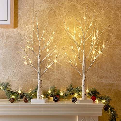 PEIDUO Valentines Day Decor, Valentines Tree, 2FT Birch Tree with LED Lights, Warm White Light up Tree Lamp, Fairy Light Spirit Tree for Home Indoor Table Mantel, Battery Powered, Timer (2PK)