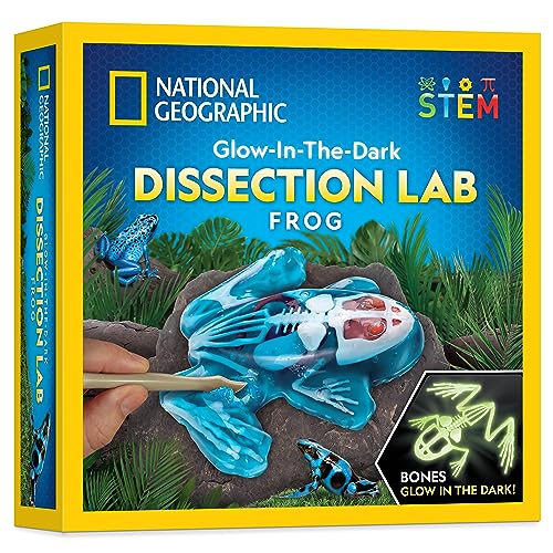 NATIONAL GEOGRAPHIC Frog Dissection Kit Anatomy Lab - Glow in the Dark Synthetic Frog Dissecting Science Lab for Kids with Dissecting Tools, Glowing Bones & Realistic Organs, Science Toys, Biology Kit