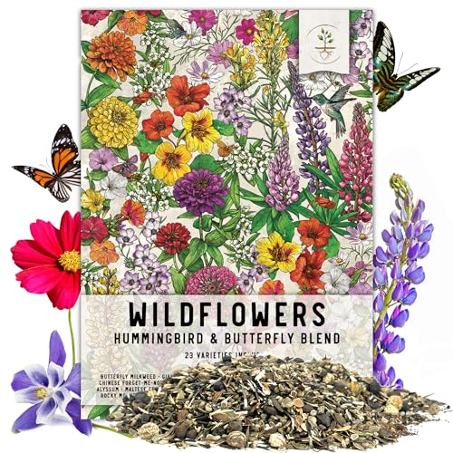 Seed Needs, Package of 15,000+ Hummingbird and Butterfly Garden Wildflower Seed Mixture for Planting (99% Pure Live Seed- NO Filler) 20+ Varieties, Annual Perennial - Bulk
