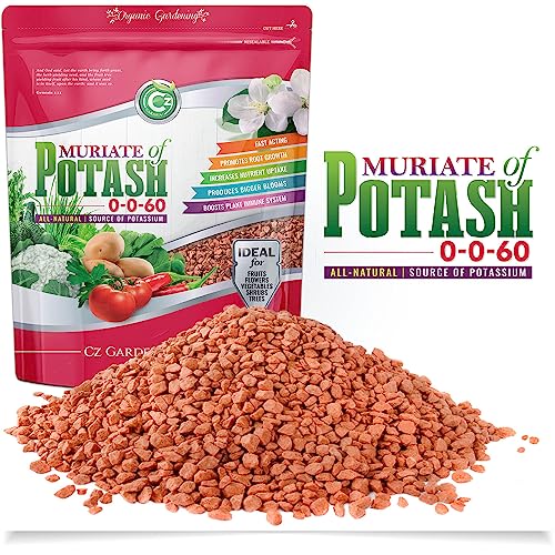 Muriate of Potash 0-0-60 Fertilizer Made in USA - MOP Potassium Plant Food for Indoor/Outdoor Plants & Flower Gardens – Promotes Big Blooms! Fruit, Vegetables, Holistic Herbs, Trees