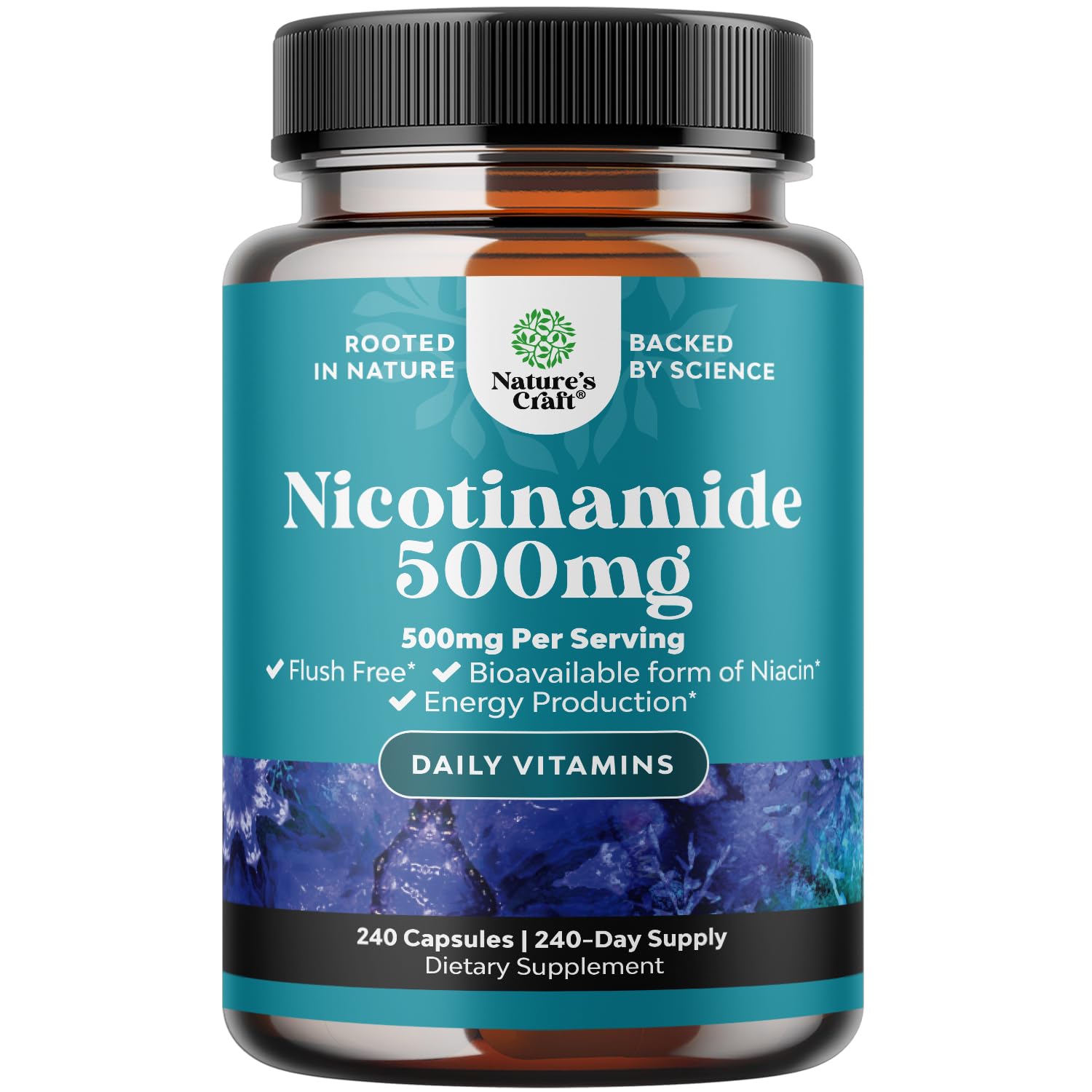 Top 5 Best Nicotinamide Supplement For Skin Cancer 2024 Pixelfy Blog