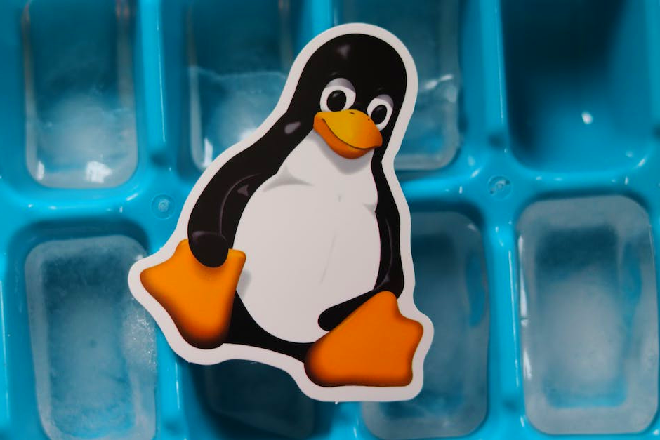 Top 5 Best Ice Cube Molds 2024 Pixelfy blog