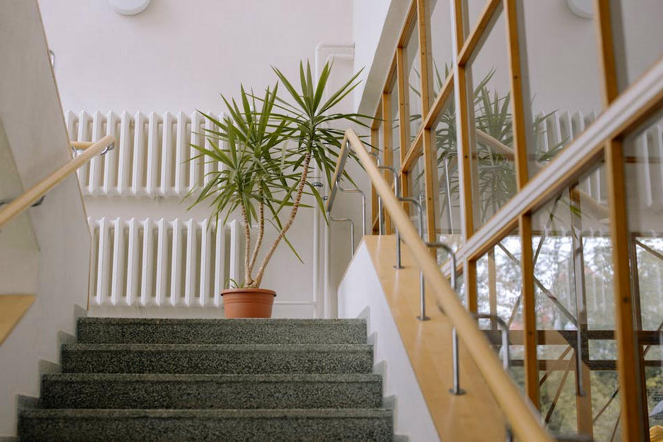 Top 5 Best Neti Pot 2024 Pixelfy blog