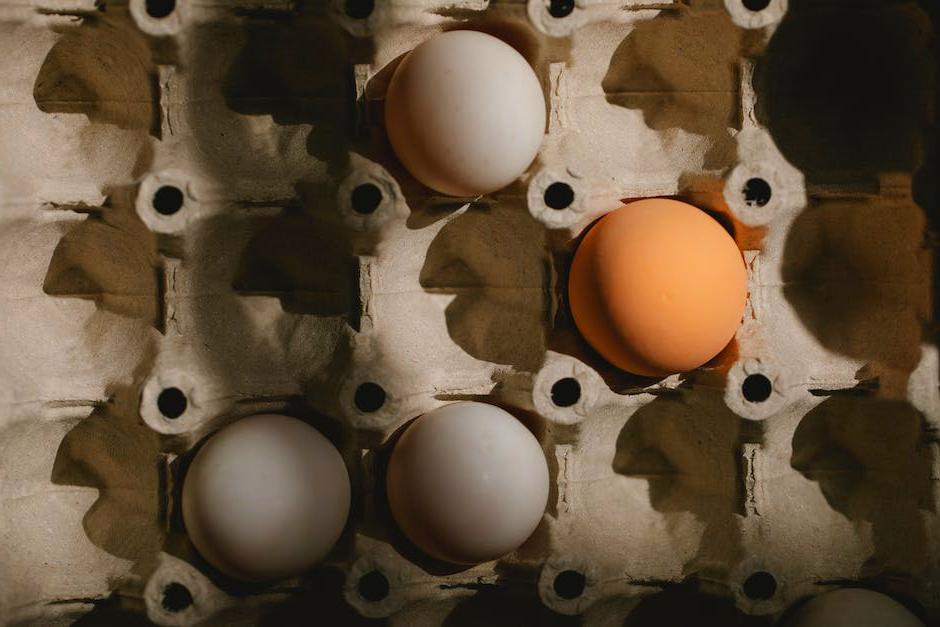 Top 5 Best Free Range Eggs 2024 - Pixelfy blog