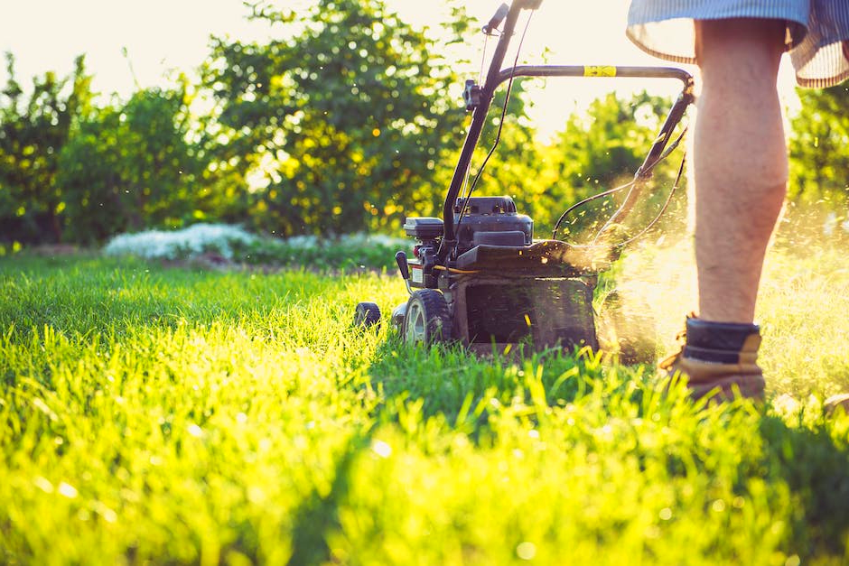 Top 5 Best Riding Lawn Mower For The Money 2024 Pixelfy blog